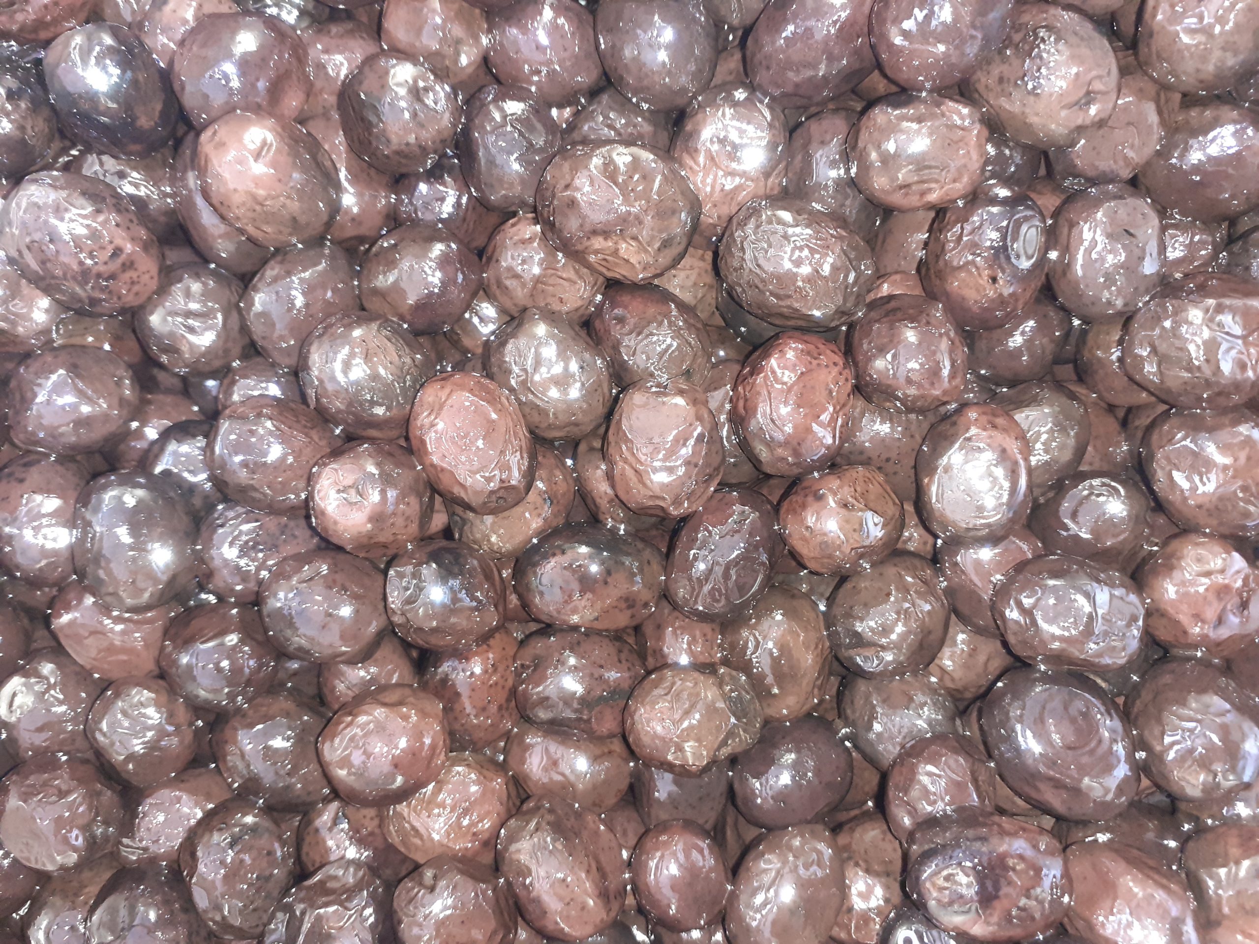 Edremit Siyah Zeytin (ÇEVİRME) (BAŞ) 1 kg